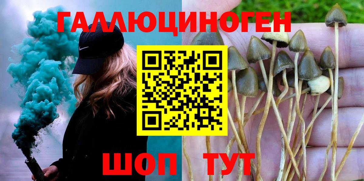 Псилоцибиновые грибы прущие грибы Сегежа